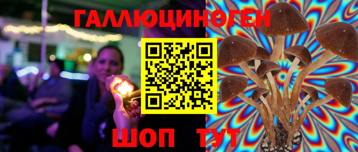 Галлюциногенные грибы ЛСД Гусь-Хрустальный