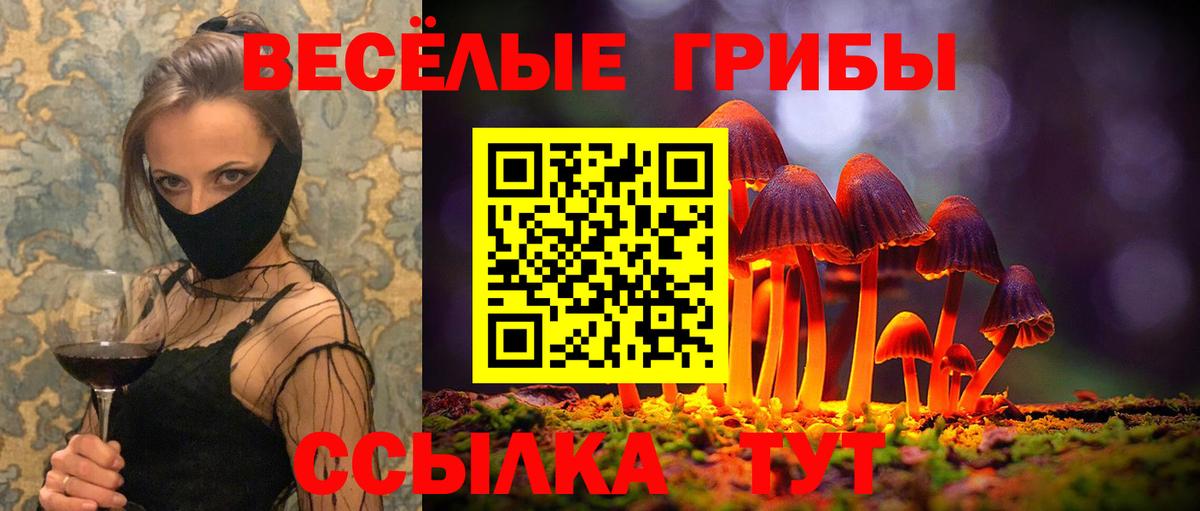 Псилоцибиновые грибы Cubensis  Вход с VPN  Гусь-Хрустальный 